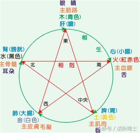 自己的屬性|五行測試：你屬哪一行？